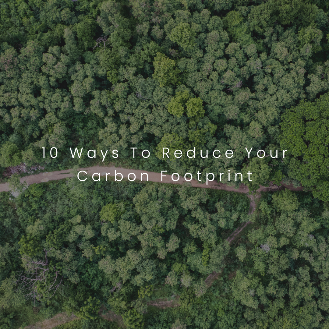 10 Ways to Reduce Your Carbon Footprint for Greener Living