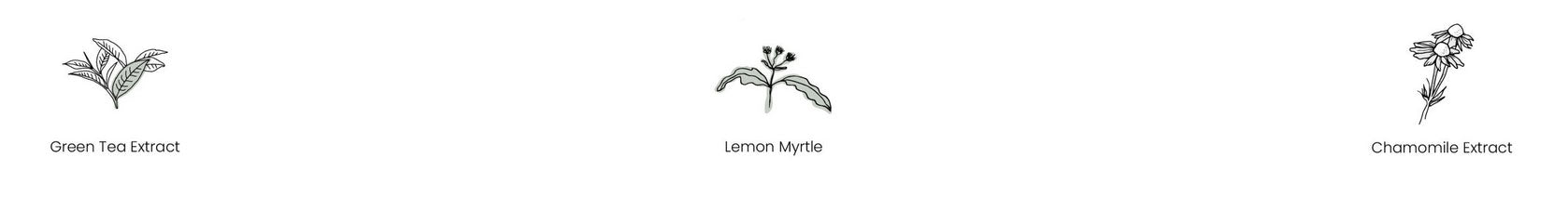 Natural Hand Wash • Lemon Myrtle