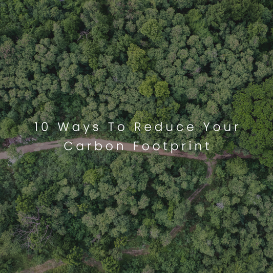 10 Ways to Reduce Your Carbon Footprint for Greener Living