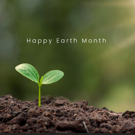 12 Fun Eco Activities to Celebrate Earth Day