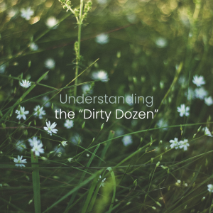 Understanding the “Dirty Dozen” Chemicals in Mainstream Personal Care Products